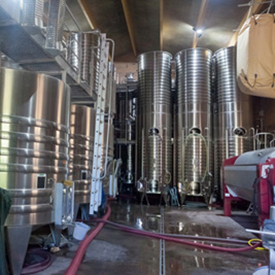 wine production & -conveying