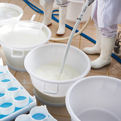 milk- & cheese production